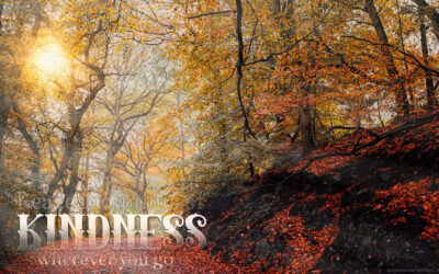 Happy Words Kindness Desktop Wallpaper